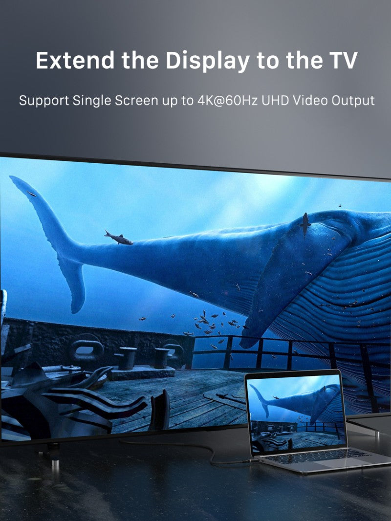 Laptop connected to TV via USB-C to USB-C cable, displaying 4K@60Hz UHD video of a whale scene for extended screen projection.