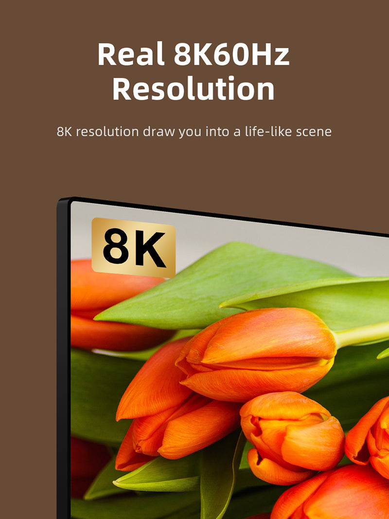 DisplayPort 1.4 to HDMI 2.1 Adapter 8K 60Hz 4K 144Hz