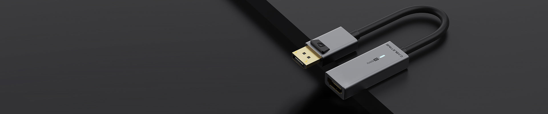 DP Adapter 